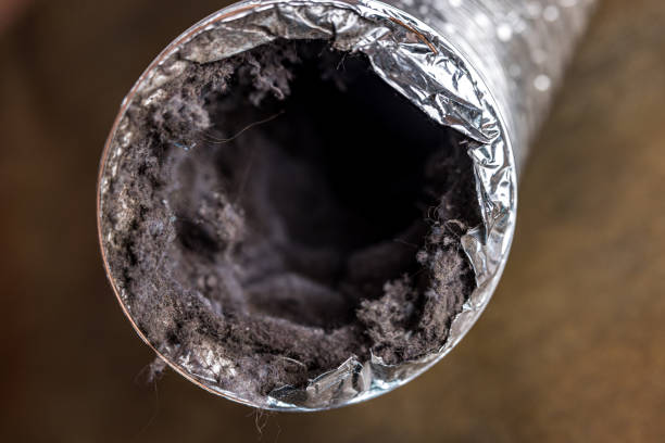 Best Dryer Vent Cleaning Services  in Lo, HI