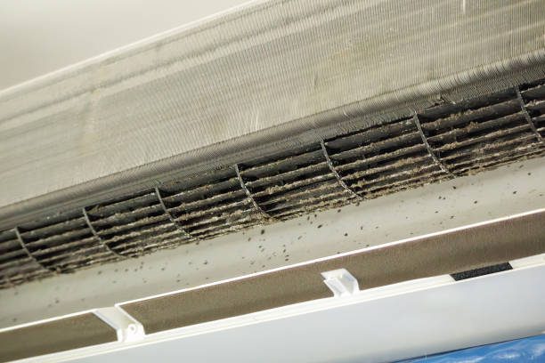 Best HVAC System Cleaning  in Lo, HI