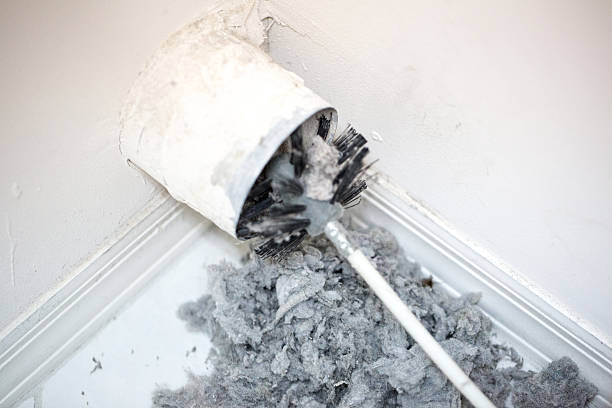 Best HVAC Duct Inspection Services  in Lo, HI