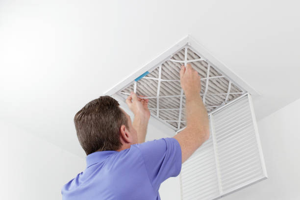 Best Dryer Vent Cleaning Services  in Lo, HI